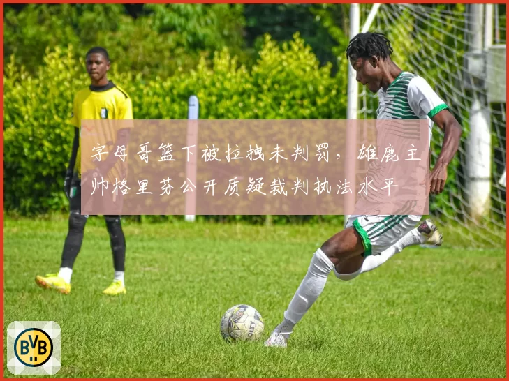 字母哥篮下被拉拽未判罚，雄鹿主帅格里芬公开质疑裁判执法水平