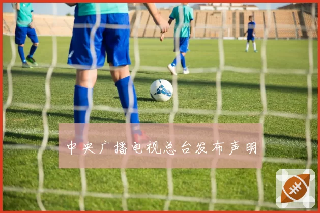 中央广播电视总台发布声明