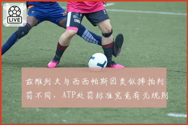 兹维列夫与西西帕斯因类似摔拍判罚不同,ATP处罚标准究竟有无规则?