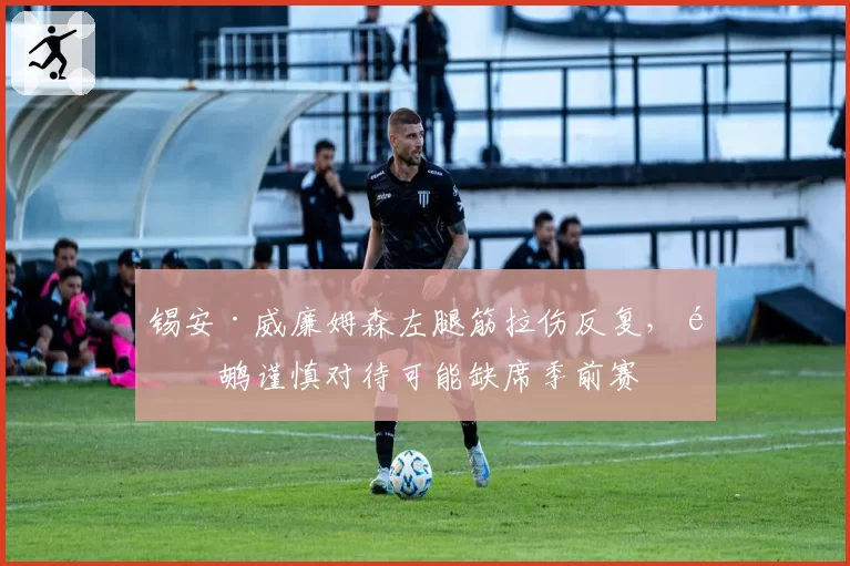 锡安·威廉姆森左腿筋拉伤反复,鹈鹕谨慎对待可能缺席季前赛