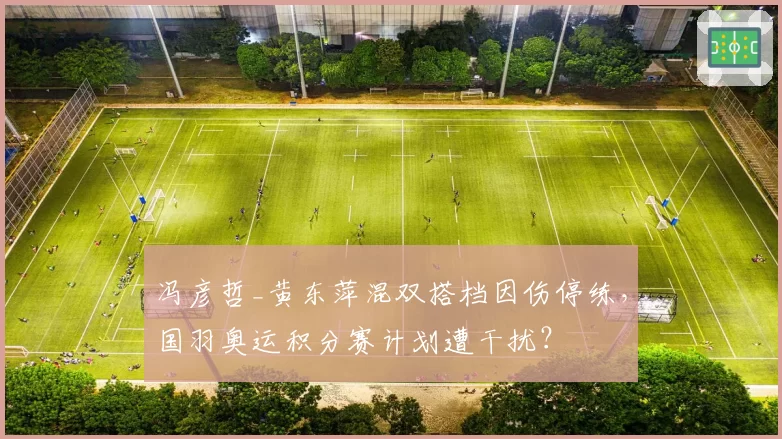冯彦哲_黄东萍混双搭档因伤停练,国羽奥运积分赛计划遭干扰?